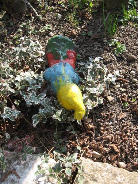 gartenzwerg