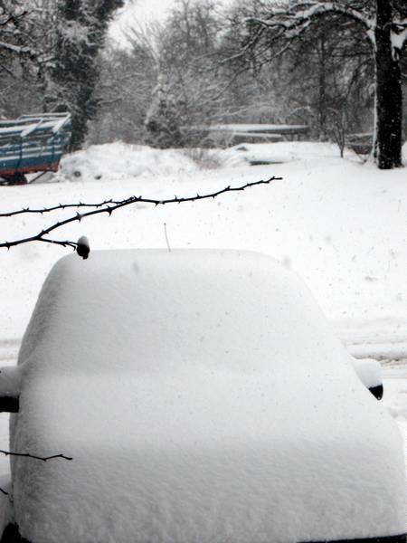 schneeunter