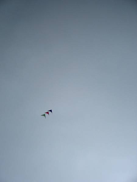 IMG 1541