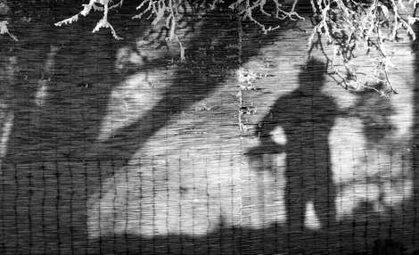 schatten