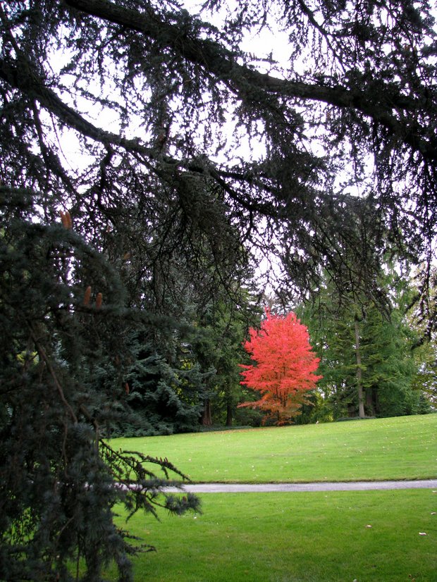 IMG 7771
